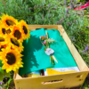 Panier garnis cadeau Toulouse Tarn Albi
