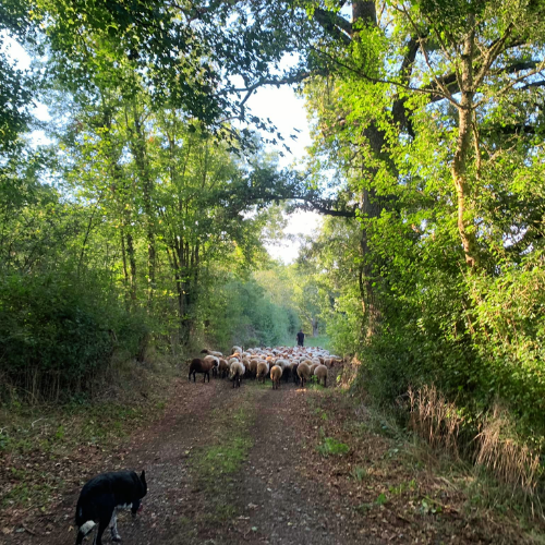 Mangez varié et équilibré (et français 😉 ! )