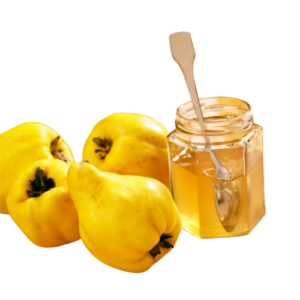 Coings bio récoltés en lot et Garonne pour une gelée traditionnelle