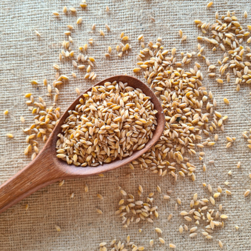 Trouver une céréale un peu originale pour changer du blé